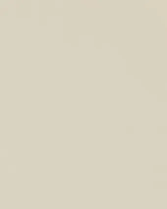 armoire-melamine-texture-3