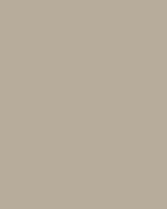 armoire-polymere-super-mat-texture-1