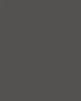 armoire-polymere-super-mat-texture-2